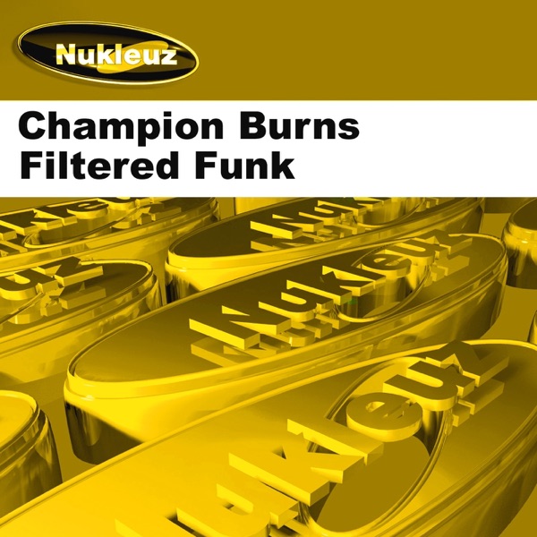 Filtered Funk - Single