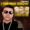 I Wanna Know (Remix) [feat. DJ Khaled, Ace Hood & Jim Jones] - Single