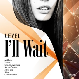 I'll Wait (Original Mix) Julius Beat