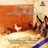 Il verso della gallina - Ecosound