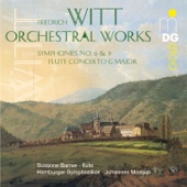 Concerto for Flute and Orchestra in G Major: III. Rondo artwork