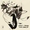 Toky - Kisk (Original Mix) [feat. Max Aloisi]