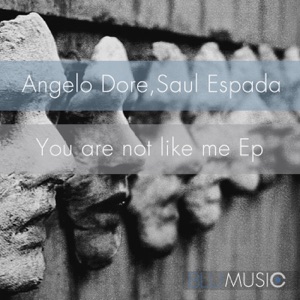 You Are Not Like Me - Single
