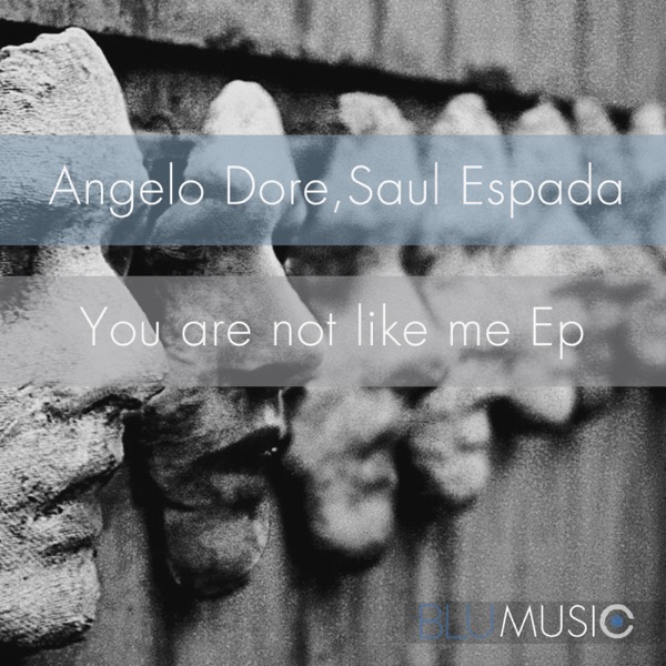You Are Not Like Me - Single