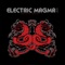 Boris - Electric Magma lyrics
