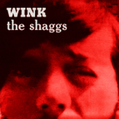 Wink - The Shaggs