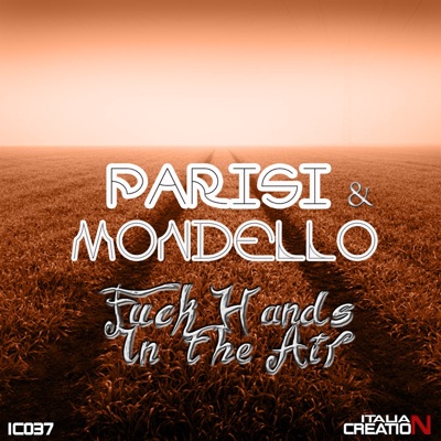 Fuck Hands in the Air - Single