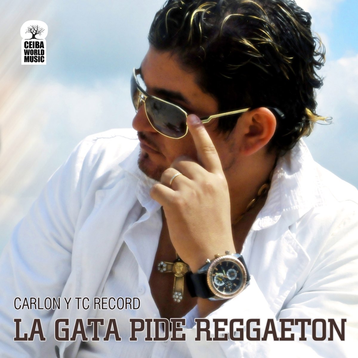 La Gata Pide Reggaeton by Carlon y TC Record on Apple Music