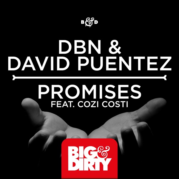 Promises (feat. Cozi Costi) - Single