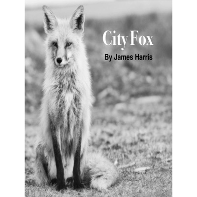 City Fox - Single