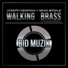 Walking Brass (10th Anniversary Mix) - Single