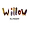 Remedy - Willow lyrics