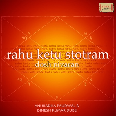 Rahu Ketu Stotram Dosh Nivaran