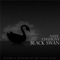 Black Swan - Nate Chatigny lyrics