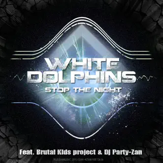 Big Stone Bag (feat. DJ Party-Zan) [My Heart] by White Dolphins song reviws