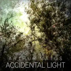 Accidental Light - Arthur Matos