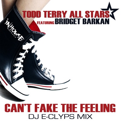 Can't Fake the Feeling (Dj E-Clyps MIX) [feat. Bridget Barkan] - Single
