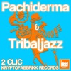 Pachiderma / Tribaljazz - Single