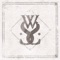 Be(lie)ve - While She Sleeps lyrics