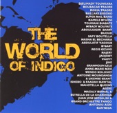 The World of Indigo