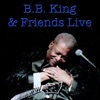 Robert King The Sky Is Crying (feat. Albert King & Paul Butterfield) B.B. King & Friends Live