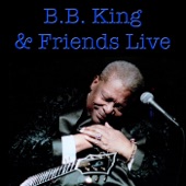 B.B. King & Friends Live artwork