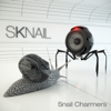 Anthem - Sknail