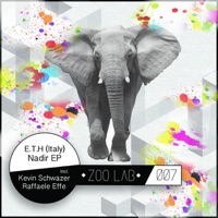 Nadir EP - E.T.H (Italy)