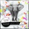 Nadir (Raffaele Effe Remix) - E.T.H (Italy) lyrics