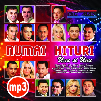 Sorinel Pustiu - Logan Si Mertan