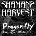 Dragonfly [Unplugged]