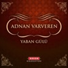 Adnan Varveren - Bir Rüzgar Attı Beni