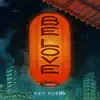 Kris Roche - Astronaut