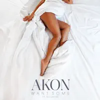 Want Some — Akon
