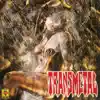 Transmetal - El Llamado de la Hembra