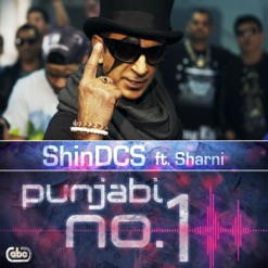 PUNJABI NO 1 cover art