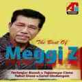 Meggi Z