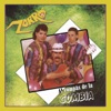 Zorro - Cerezo Rosa