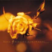 Soul Whirling Somewhere - I Should Throw Myself Under a Train      