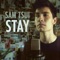 Stay - Sam Tsui lyrics
