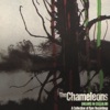 The Chameleons