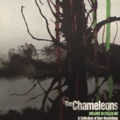 The Chameleons - Prisoners Of The Sun