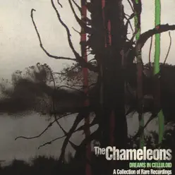 Dreams in Celluloid: A Collection of Rare Recordings - The Chameleons