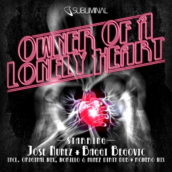 Owner of a Lonely Heart - Single