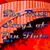 The Best Songs of Pan Flute, Vol. 2, 2014