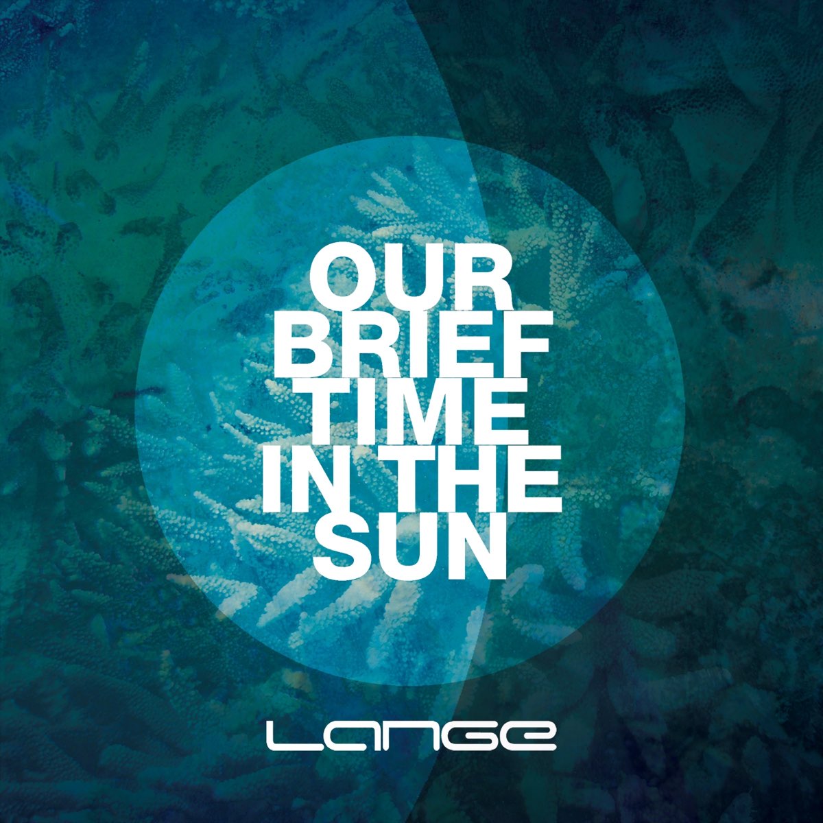 Good food Sun Trance. Lange музыка. Lange Trance Music. Va название диска: the best of Lange recordings (2004 - 2016). Our слушать