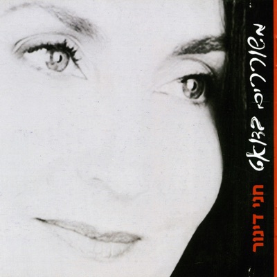 משוררים בדואט