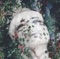 Late Bloomer - Oaktree lyrics