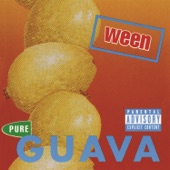 Ween - Tender Situation