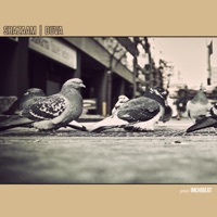 Duva (feat. Imchibeat) - Single - Shazaam